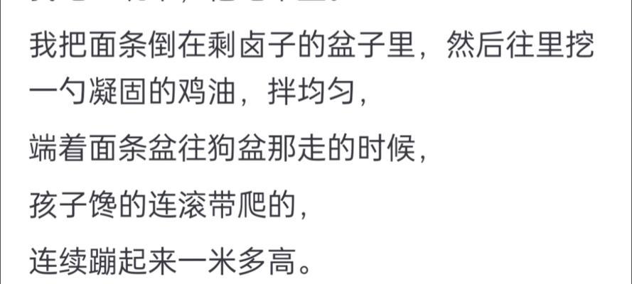 金毛喂食时间选择的重要性（了解金毛喂食时间的关键，为宠物健康护航）