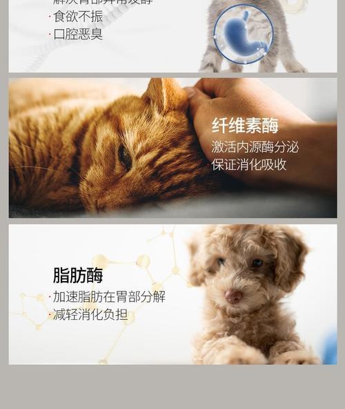 了解狗狗的肠胃宝——肠胃宝的功效与使用方法（维护狗狗健康的关键，肠胃宝！）