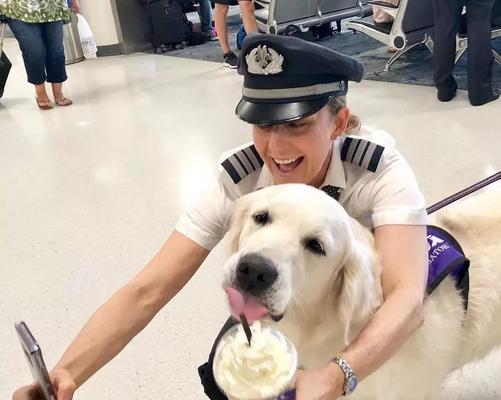 如何合法去机场接狗狗（详解接狗狗需要的手续及步骤）