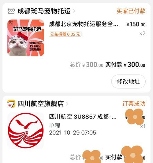 机场接狗狗全攻略：合法手续与接机步骤详解