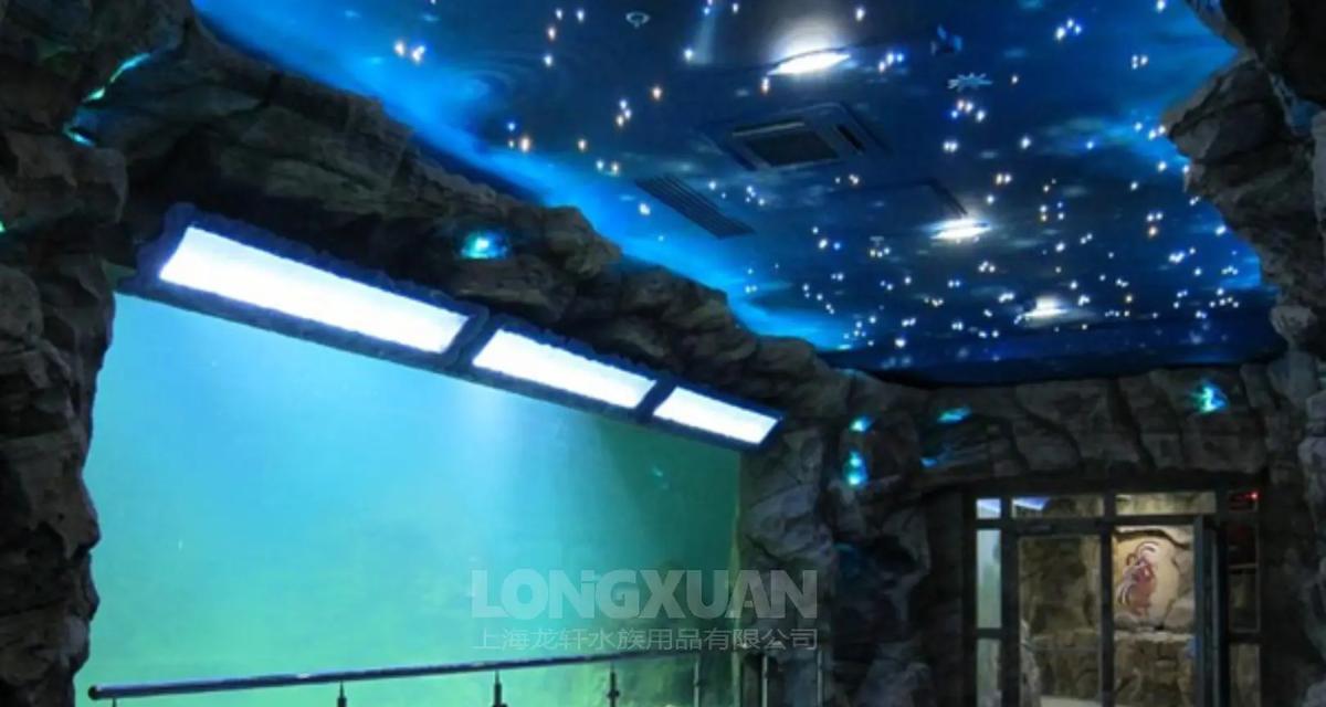 鱼缸清洁全攻略：打造水族宠物健康生活环境的秘诀