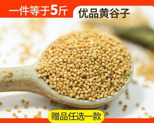 黄雀与苏子的故事（黄雀的聪明与机智）