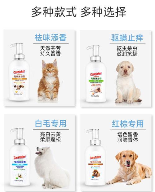 去除猫臭味的有效药物（告别室内异味，让你的家永远清新宜人）