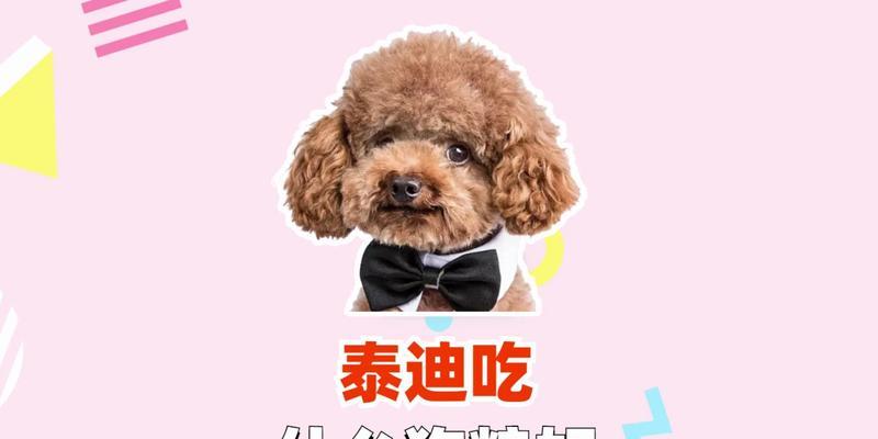 探秘泰迪狗的增肥食谱（为你的泰迪狗提供健康的增重饮食方案）
