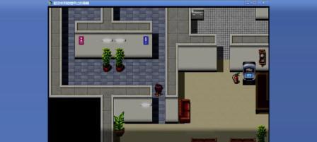 巨贵犬怀孕关键因素与最佳繁殖时机全解析