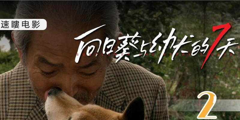 关于狗的安乐死（给予狗以尊严的离别方式）