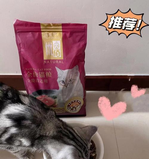 边境牧羊犬毛发养护秘籍，科学饮食打造亮丽被毛