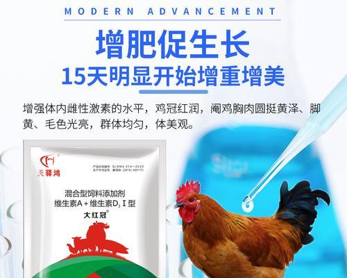 边牧美毛的秘密武器（揭秘边牧美毛的饮食秘籍）