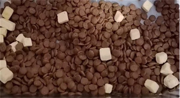 豆柴猫粮试吃 豆柴猫粮试吃