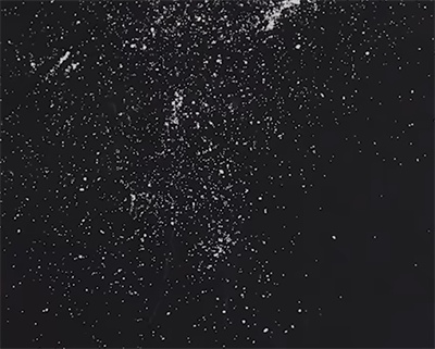 许翠花猫砂带砂情况