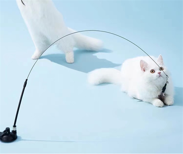宠奇拉逗猫棒 宠奇拉逗猫棒