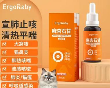 如何有效治疗感冒的狗狗？（药物治疗和其他措施）