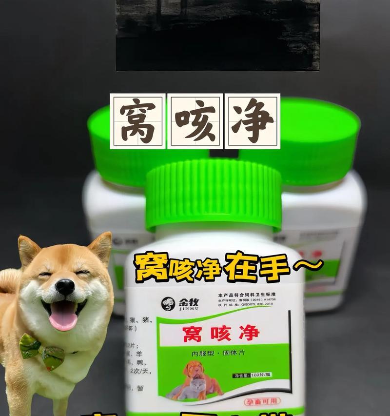 狗咳嗽（快速缓解咳嗽的关键药物与方法）