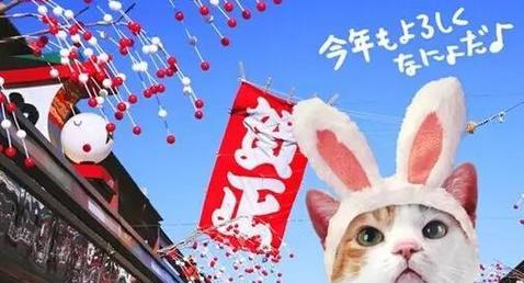 日本人给猫起名字大全：从传统到流行的命名文化与趋势