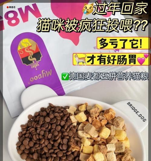 科学喂养幼猫指南：饮食需求与健康喂养方法详解