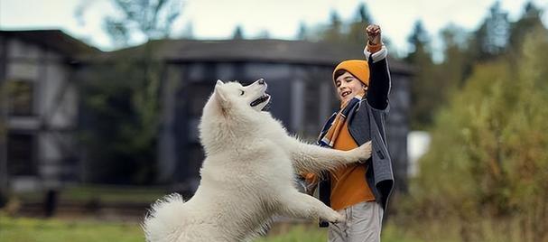 如何为半岁的萨摩提供适宜的饮食？（半岁的萨摩所需食物及营养补充）