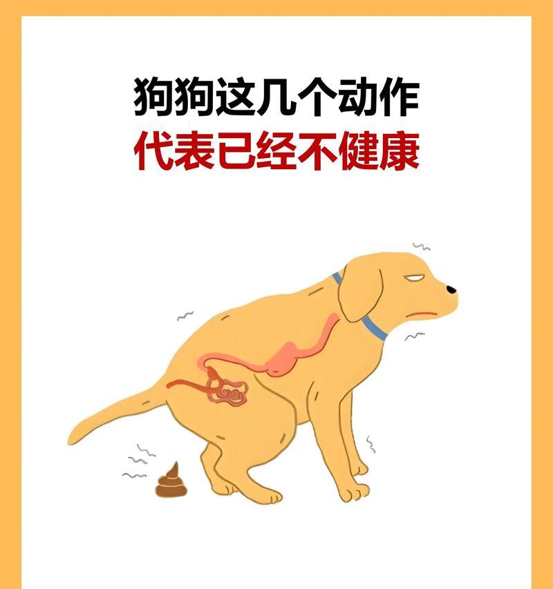 小狗频繁呕吐的原因及处理方法（了解小狗呕吐的背后原因，做好相应处理）