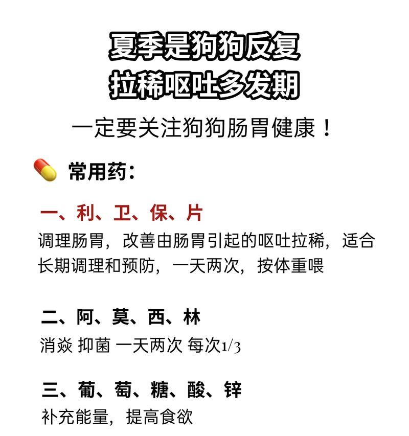 小狗频繁呕吐的原因及处理方法（了解小狗呕吐的背后原因，做好相应处理）