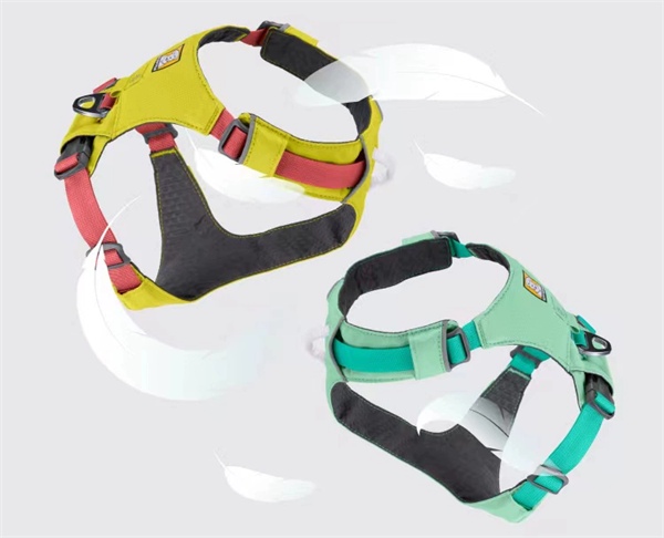 如何为爱犬挑选合适的牵引绳？关键要点与实用测评解析