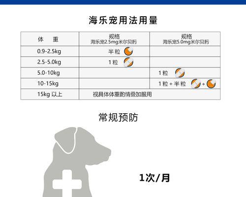 以比熊犬驱虫的禁忌药物（了解比熊犬驱虫禁忌药物，保护你的宠物）