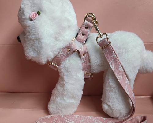 金毛牵引绳正确选择与使用指南，让散步更安全愉快