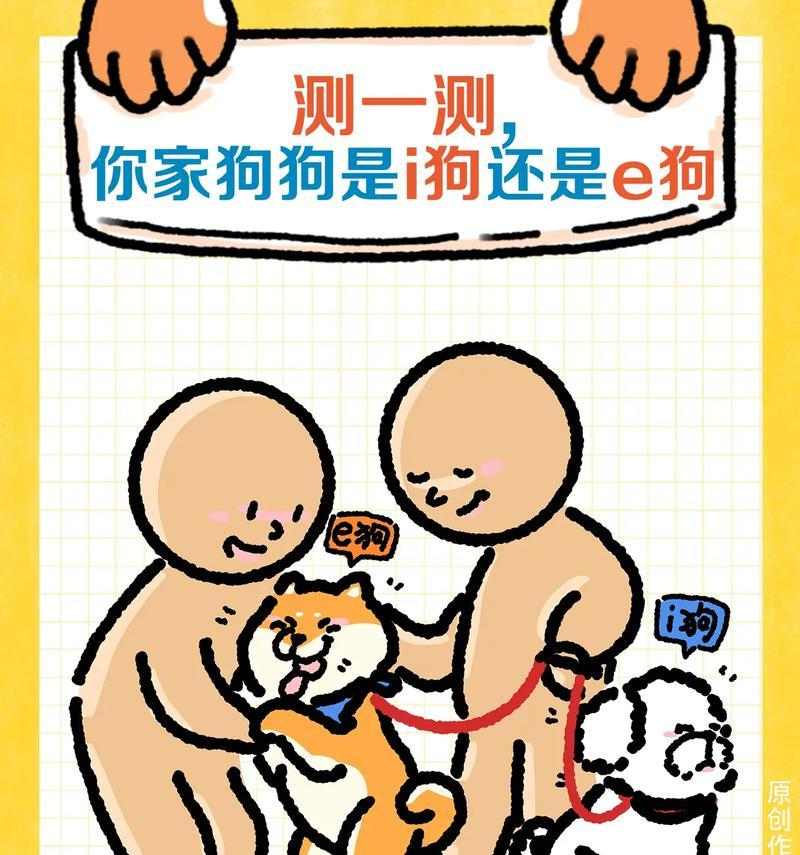 深情不渝：探索与爱犬的深度情感纽带与无限陪伴
