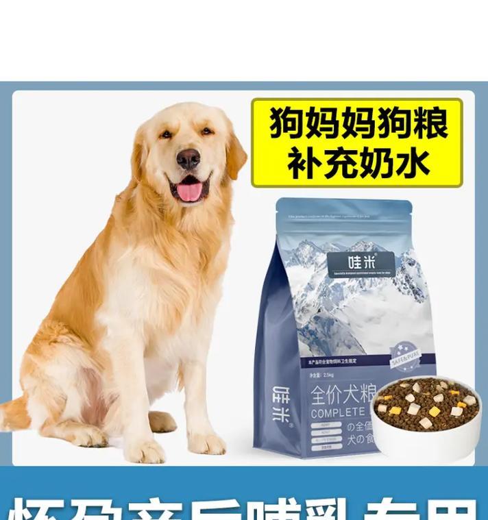 泰迪狗粮拌肉与拌蔬菜区别解析：营养与健康如何选择？