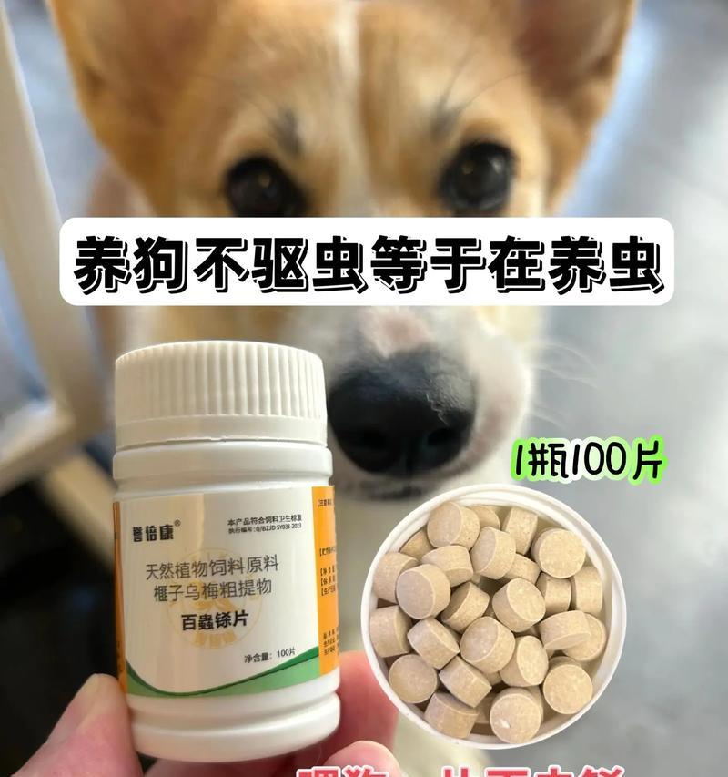 给小狗打虫子的药物选择（了解小狗打虫药物的种类和使用方法，保护它们健康成长）