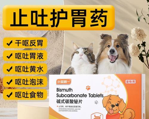 小狗呕吐拉肚子如何用药？了解病因与正确用药指南