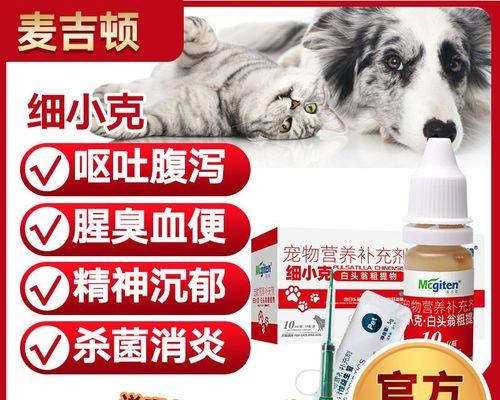 小狗呕吐拉肚子，如何选择合适的药物？（了解病因，正确用药，保护小狗健康）