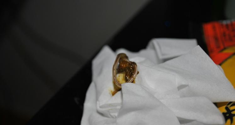 揭秘狗狗体内的细长虫子（探究引发狗狗肠道问题的罪魁祸首）