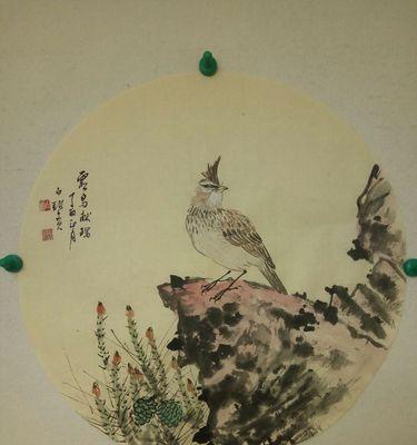 成年百灵鸟吃什么？揭秘其饮食习性及食物选择