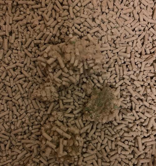 膀胱结晶的成因与症状解析，掌握预防与治疗方法