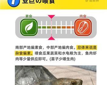 亚洲巨龟的饮食习性（以野外亚洲巨龟吃什么为中心的饮食研究）