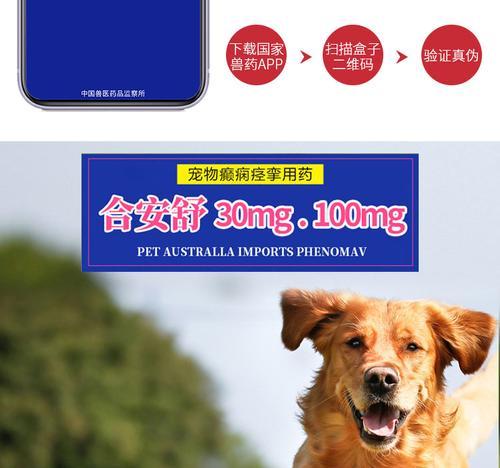 小狗犬瘟的药物治疗方法：关键步骤与有效方案全解析