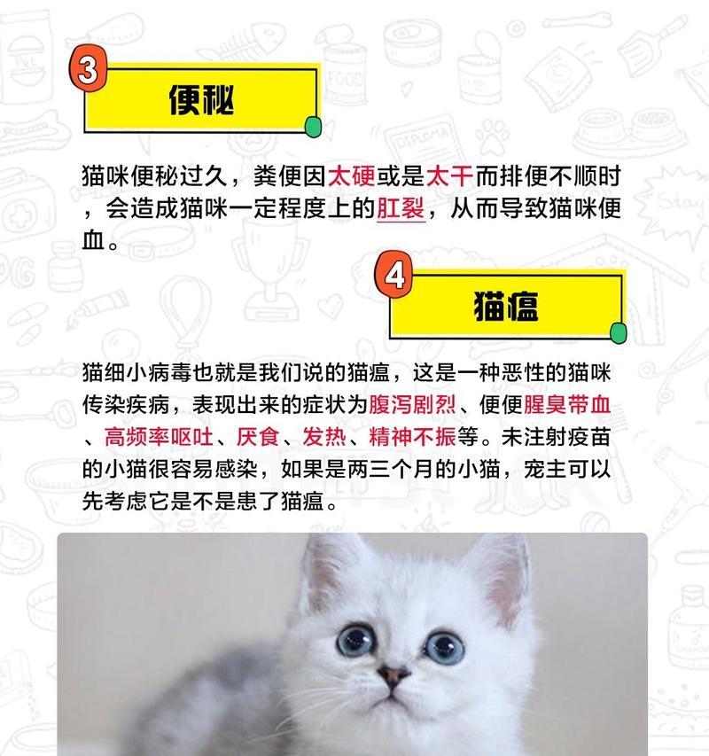 如何帮助猫咪缓解拉肚子的困扰？（解决猫咪拉肚子的问题）