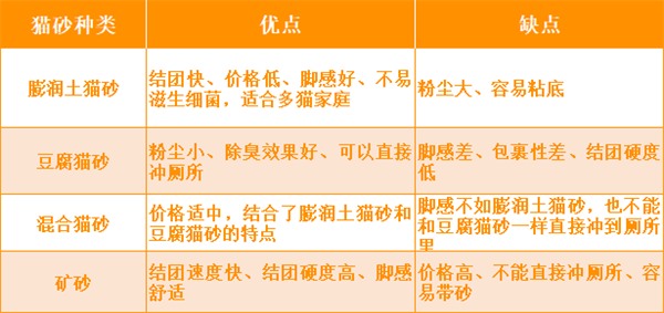 猫砂测评 猫砂测评