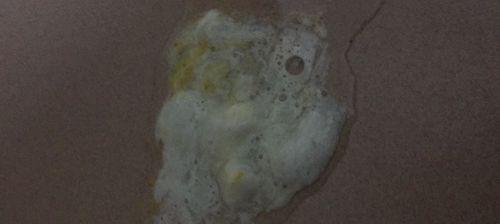 狗鼻子流白色鼻涕原因及应对方法，守护爱宠健康