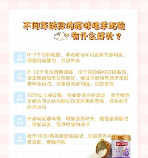 猫咪饮食选择指南：科学喂养对健康的影响与正确方法