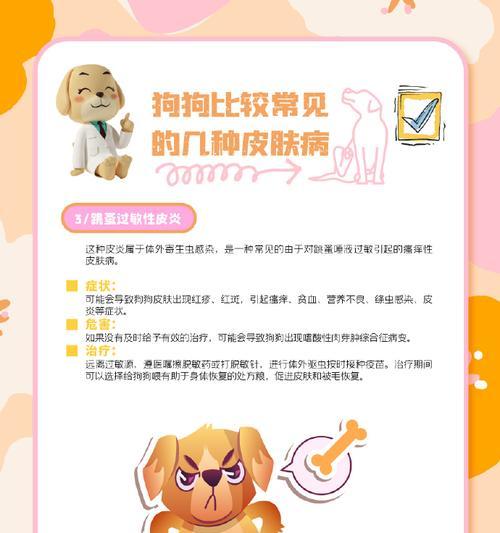 狗狗皮肤病饮食指南：合理选择食物助力皮肤健康恢复