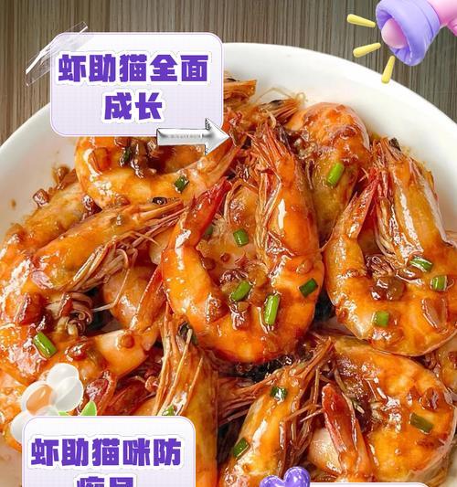 猫咪饮食选择指南：科学喂养对健康的影响与正确方法