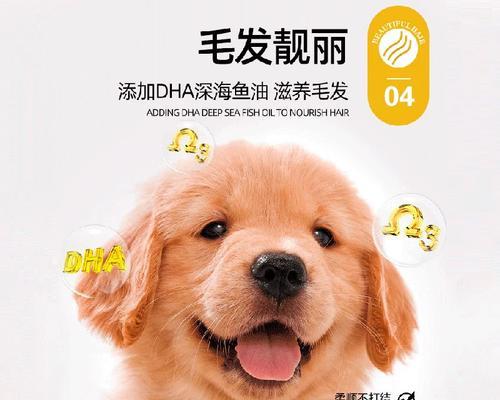 满月幼犬奶粉喂养全攻略：选对奶粉与科学喂食方法