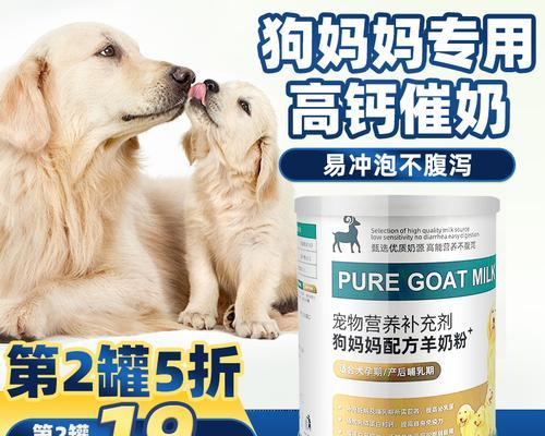 母狗下奶的有效方法及注意事项，促进乳汁分泌