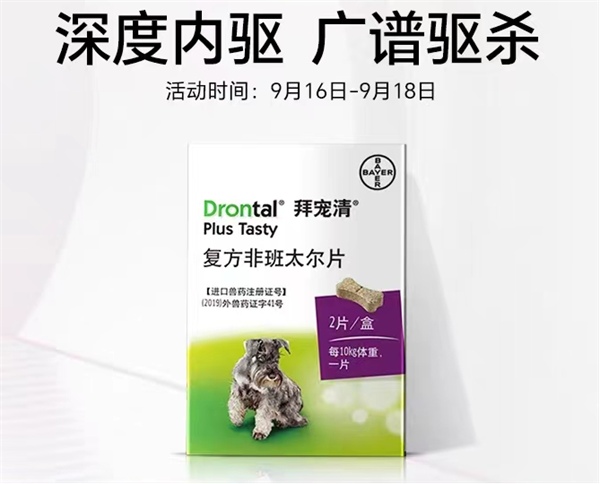 狗狗体内驱虫药深度测评：效果、安全性与喂食便利性解析