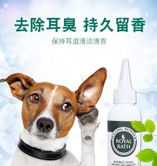 狗狗为什么会露出来怎么办？（了解狗狗露齿行为的原因及应对方法）