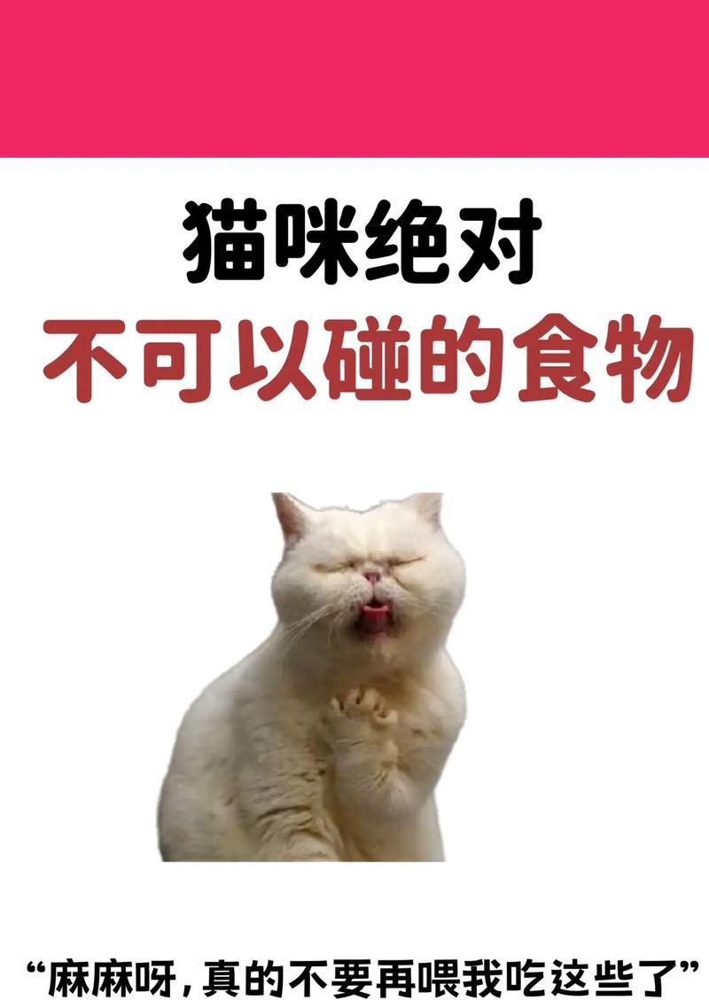猫咪孕期饮食指南：适合与禁忌食物全解析
