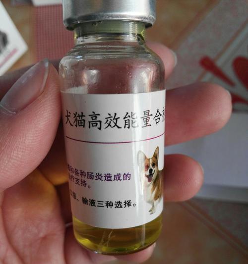 犬细小病毒治疗：输液常用药物详解与效果分析