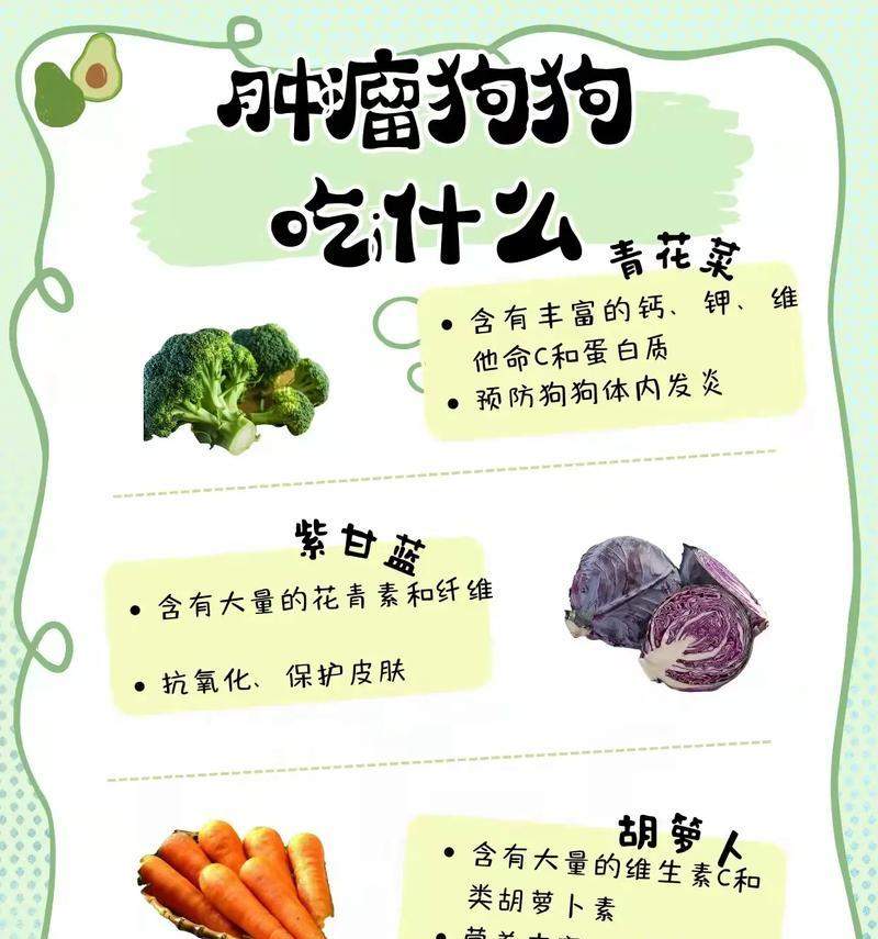 狗狗不能吃的肉有哪些？（了解狗狗的饮食禁忌，守护它们的健康）