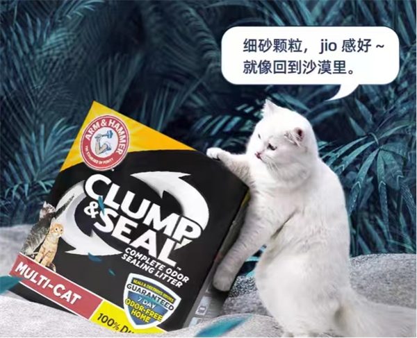 多猫家庭猫砂深度测评：结团除臭与带砂困扰的实测分析