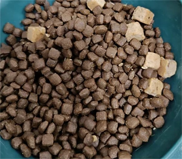 滋奇全价冻干猫粮